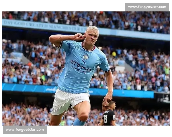 米尔科vs巅峰对决全面解析技术战术与胜负关键走向深度前瞻与历史影响